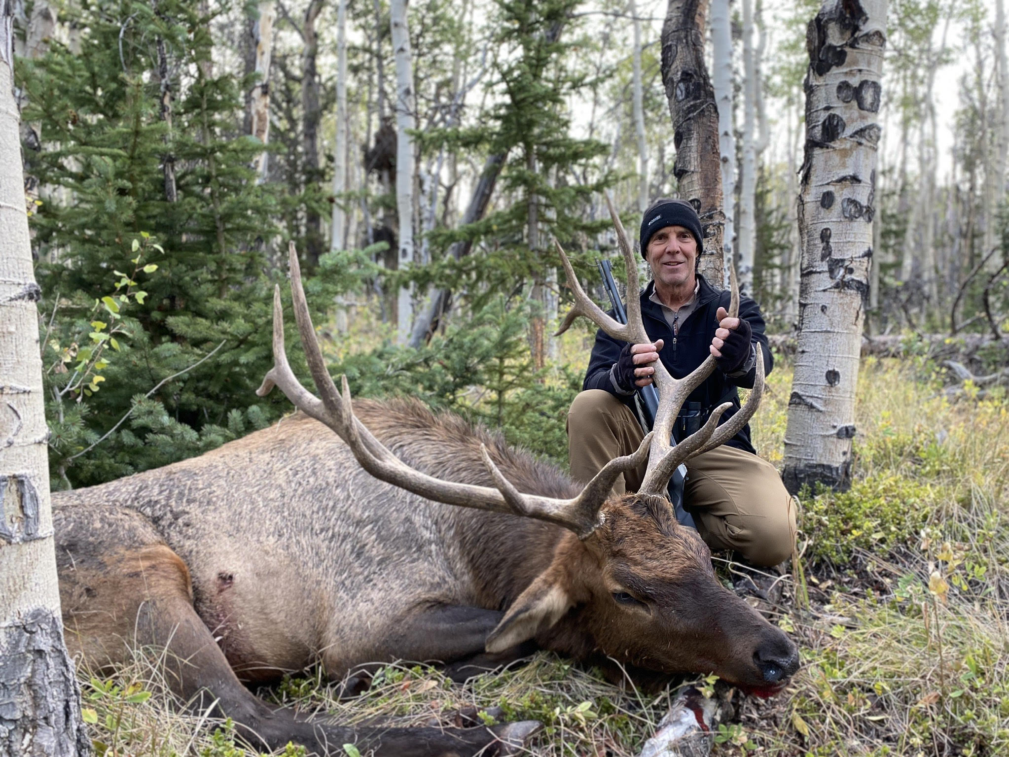 Colorado elk guides deer hunting